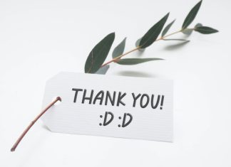 Summer Display Typeface preview image 2