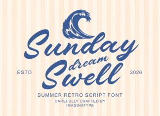 Sunday Dream Swell Script Font preview image 1