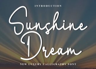 Sunshine Dream Font preview image 1