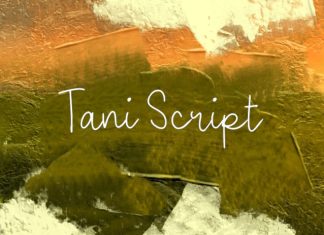 Tani Script Font preview image 1