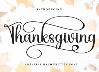 Thanksgiving Handwriting Typeface preview image 1