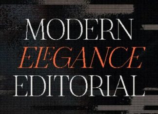 The Pixel Editorial Font preview image 2