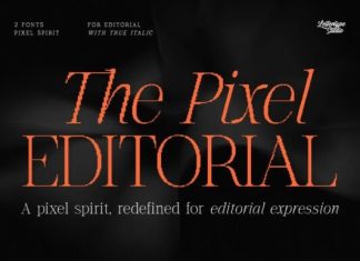 The Pixel Editorial Font preview image 1