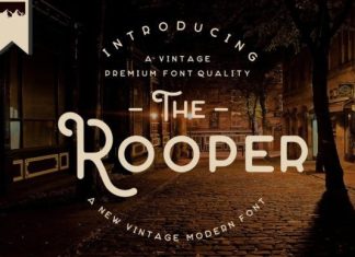 The Rooper Font preview image 1