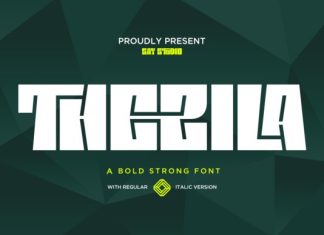 Thezila Font preview image 1