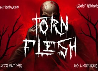 Torn Flesh Font preview image 1