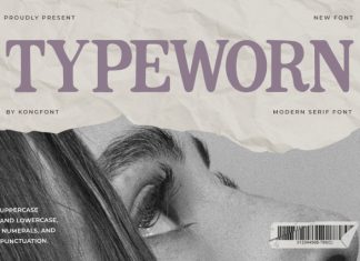Typeworn Font preview image 1