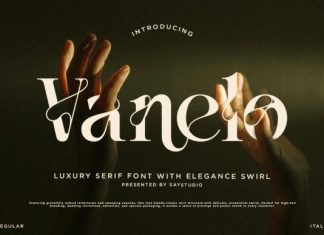 Vanelo Font preview image 1