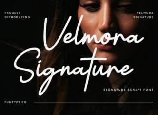 Velmora Signature Handwritten Font preview image 1