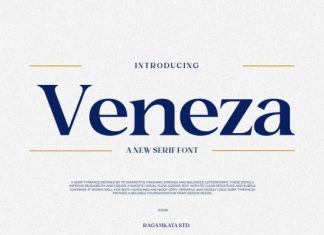 Veneza Font preview image 1