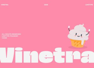 Vinetra – Bold Font preview image 1