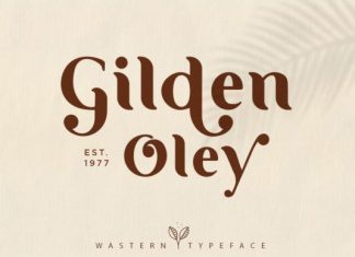 Wastern Font preview image 2