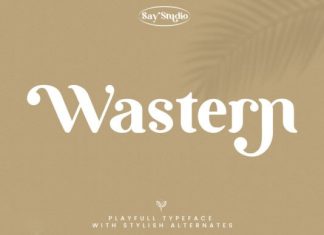 Wastern Font preview image 1