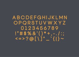 Wenorva Font preview image 2