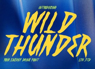 Wild Thunder Font preview image 1