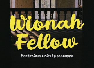 Wionah Fellow Font preview image 1