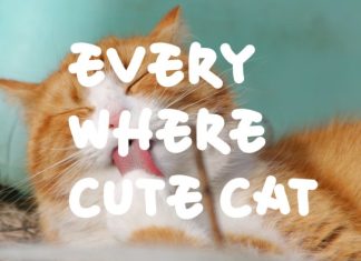 XC Cuteboy Font preview image 3