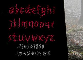 XC Forest Font preview image 3
