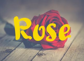 XC Rose Font preview image 1