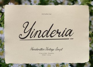 Yinderia Handwritten Font preview image 1