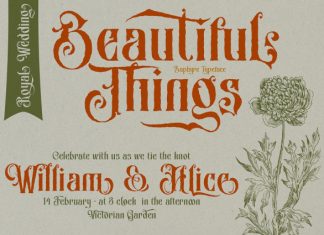 Zaphyre Font preview image 3