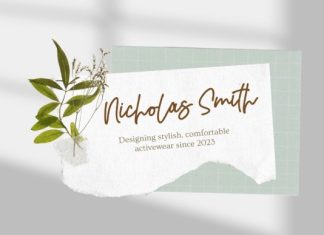 Zigas Signature Handwriting Font preview image 2