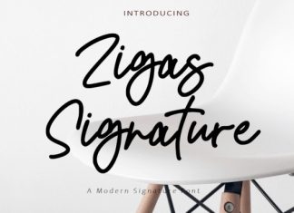Zigas Signature Handwriting Font preview image 1