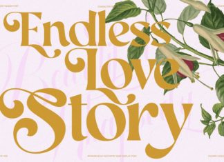Aekiy Kagon Font preview image 3