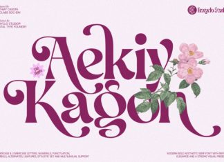 Aekiy Kagon Font preview image 1