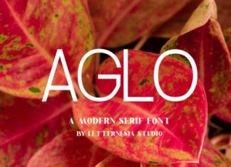Aglo Font preview image 1