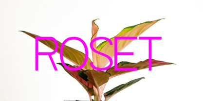 Aglo Font preview image 2