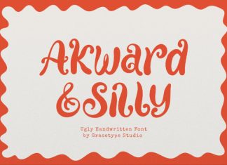 Akward Silly Font preview image 1