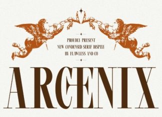 Arcenix Font preview image 1