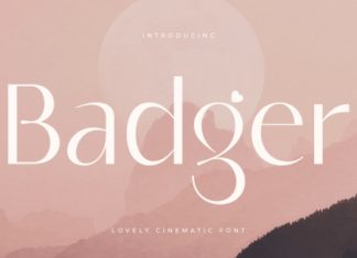 Badger Font preview image 1