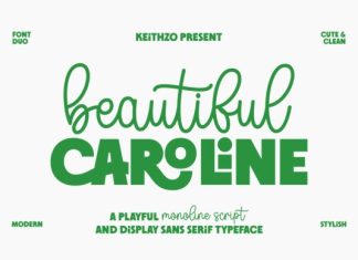 Beautiful Caroline Font preview image 1