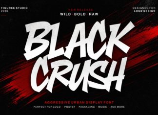 Black Crush Font preview image 1