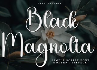 Black Magnolia Font preview image 1