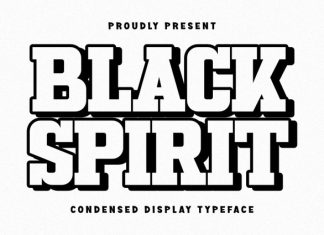 Black Spirit Font preview image 1