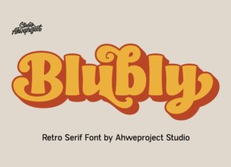 Blubly Font preview image 1