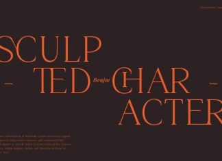Boujee Font preview image 2