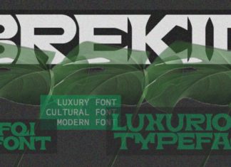 Brekid Font preview image 1