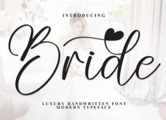 Bride Font preview image 1