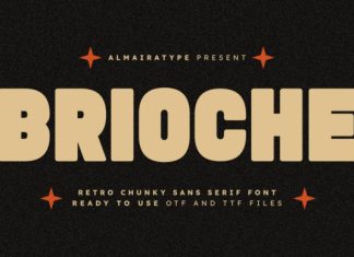 Brioche Font preview image 1