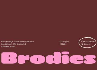 Brodies Display Font Family preview image 1