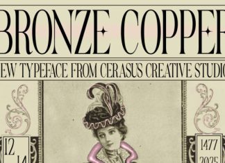 BronzeCopper Font preview image 1