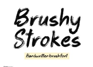 Brushy Strokes Font preview image 1