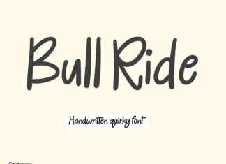 Bull Ride Font preview image 1