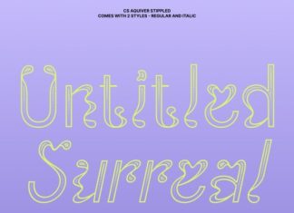 CS Aquiver Stippled Font preview image 2