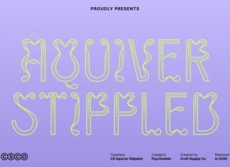CS Aquiver Stippled Font preview image 1