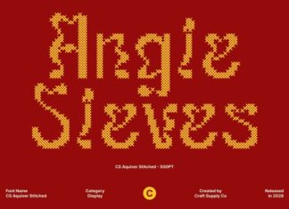 CS Aquiver Stitched Font preview image 2